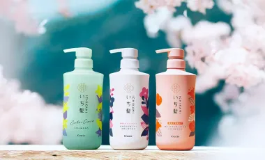 Bàn chải đánh răng mềm mịn cho nữ  Pierrot B-Elle