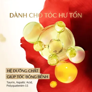 Dầu Gội Tsubaki 450ml - Nhật Bản