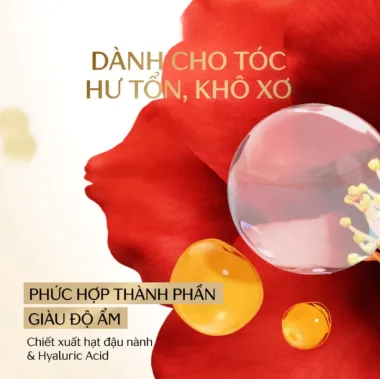 Dầu Gội Tsubaki 450ml - Nhật Bản