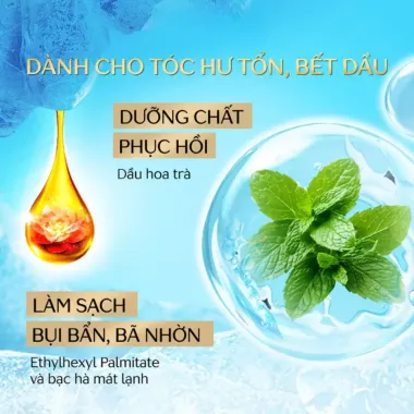 Dầu Gội Tsubaki 450ml - Nhật Bản